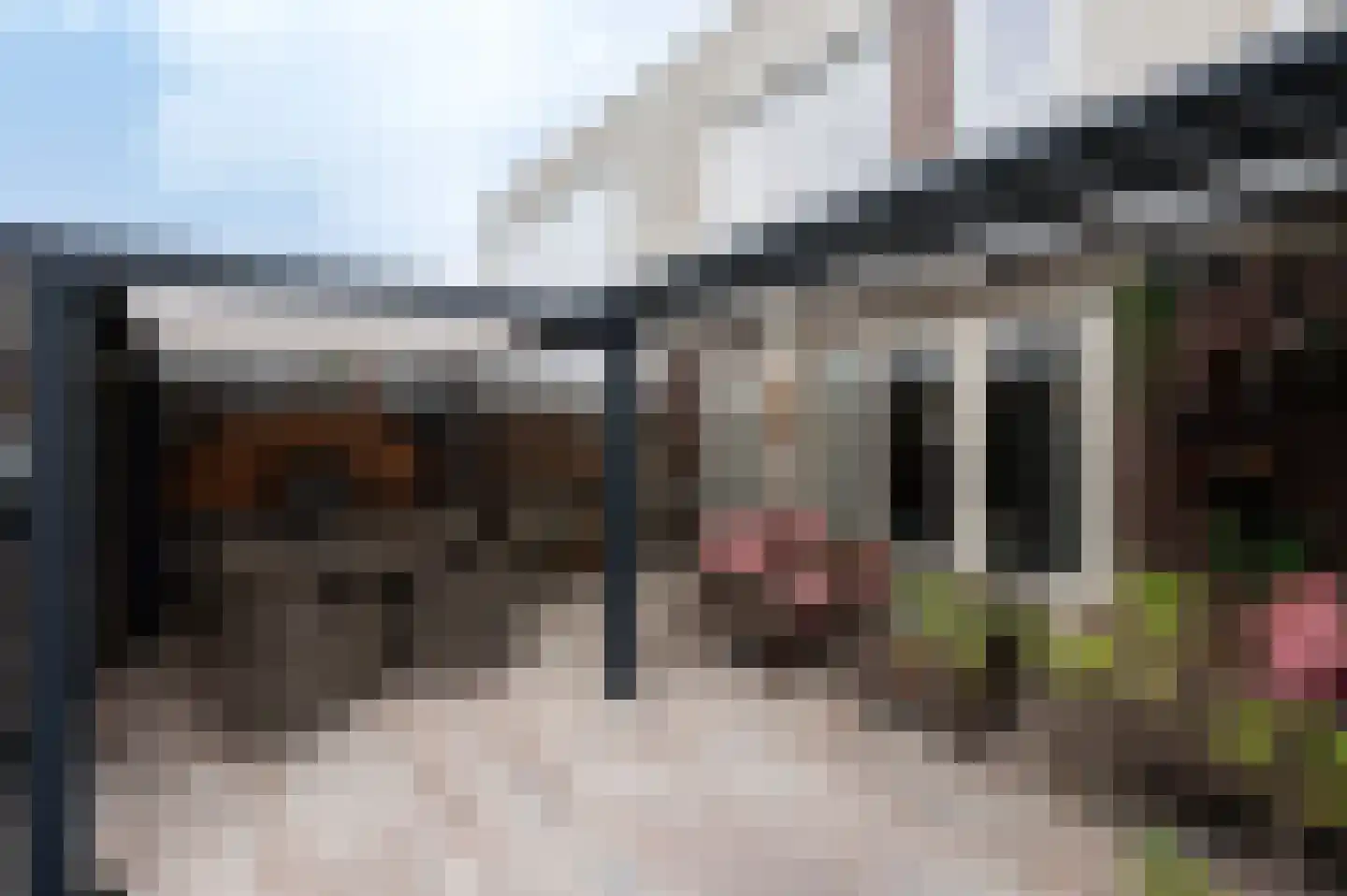Steenuil 4 Bosschenhoofd thumbnail 20