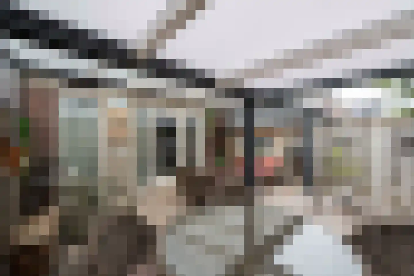 Steenuil 4 Bosschenhoofd thumbnail 21