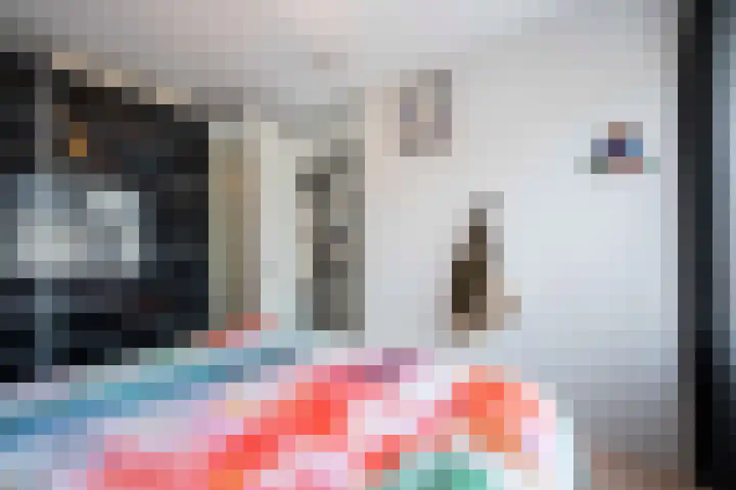 Steenuil 4 Bosschenhoofd thumbnail 25