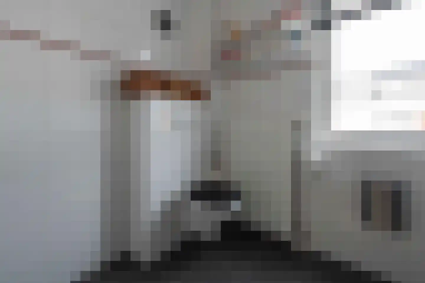 Steenuil 4 Bosschenhoofd thumbnail 27