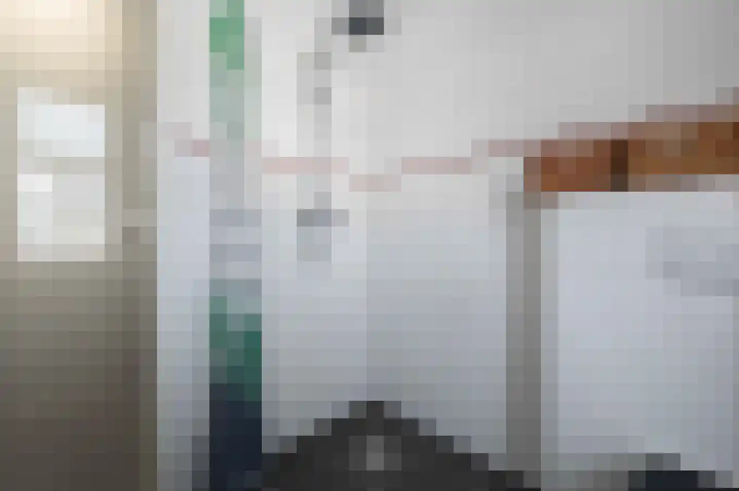 Steenuil 4 Bosschenhoofd thumbnail 28