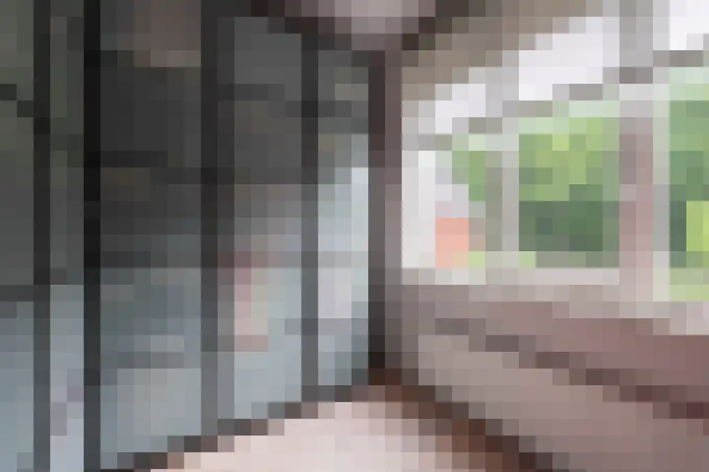 Steenuil 4 Bosschenhoofd thumbnail 29