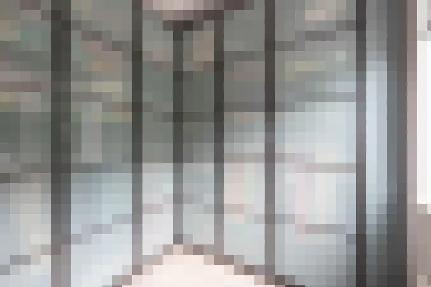 Steenuil 4 Bosschenhoofd thumbnail 30