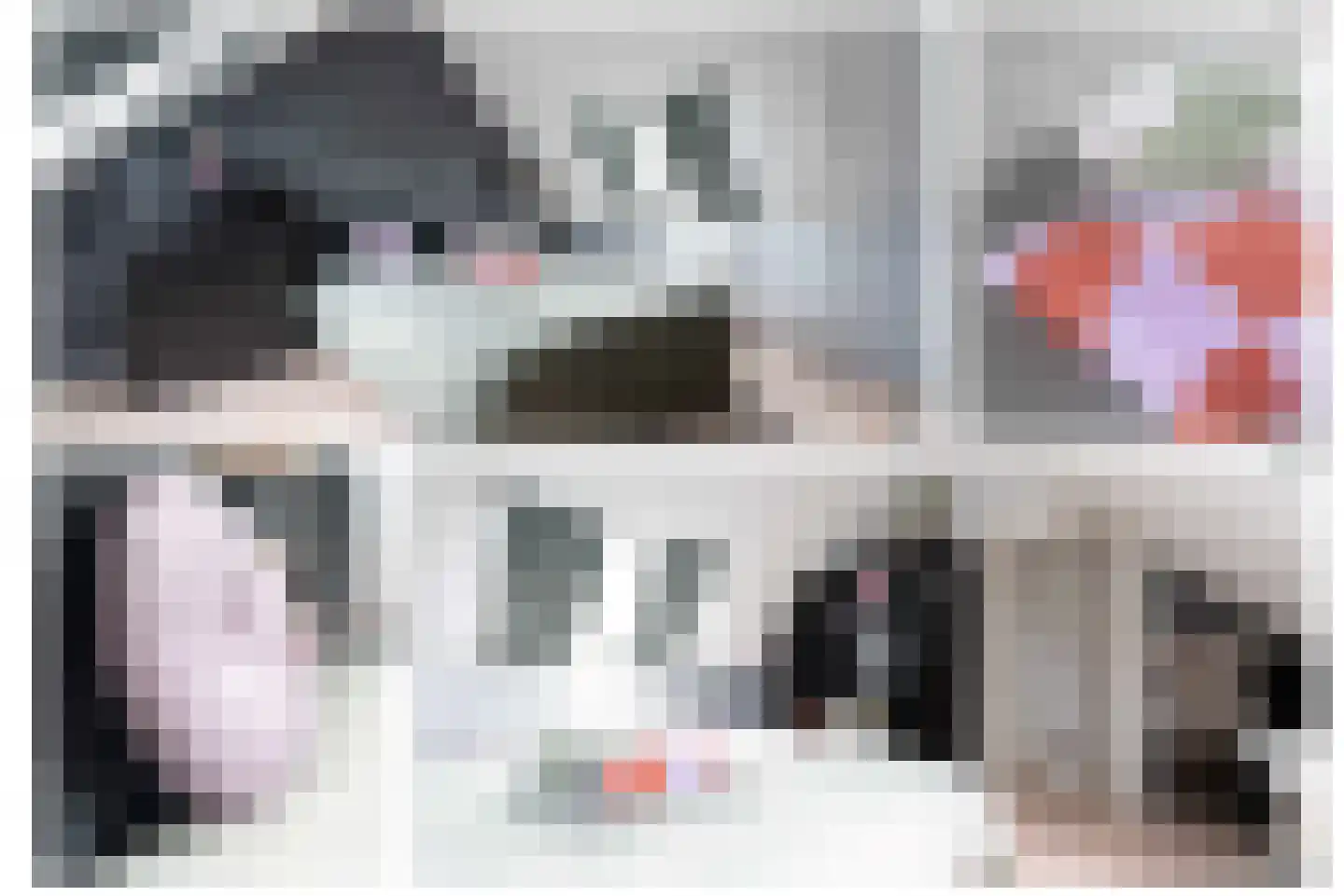 Steenuil 4 Bosschenhoofd thumbnail 33