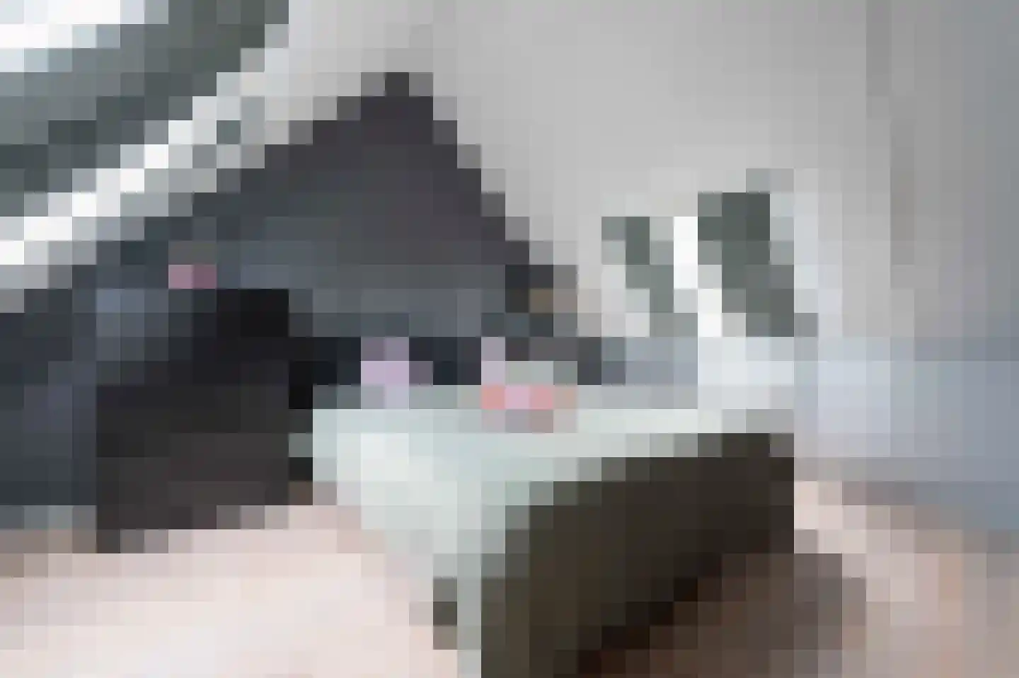 Steenuil 4 Bosschenhoofd thumbnail 34