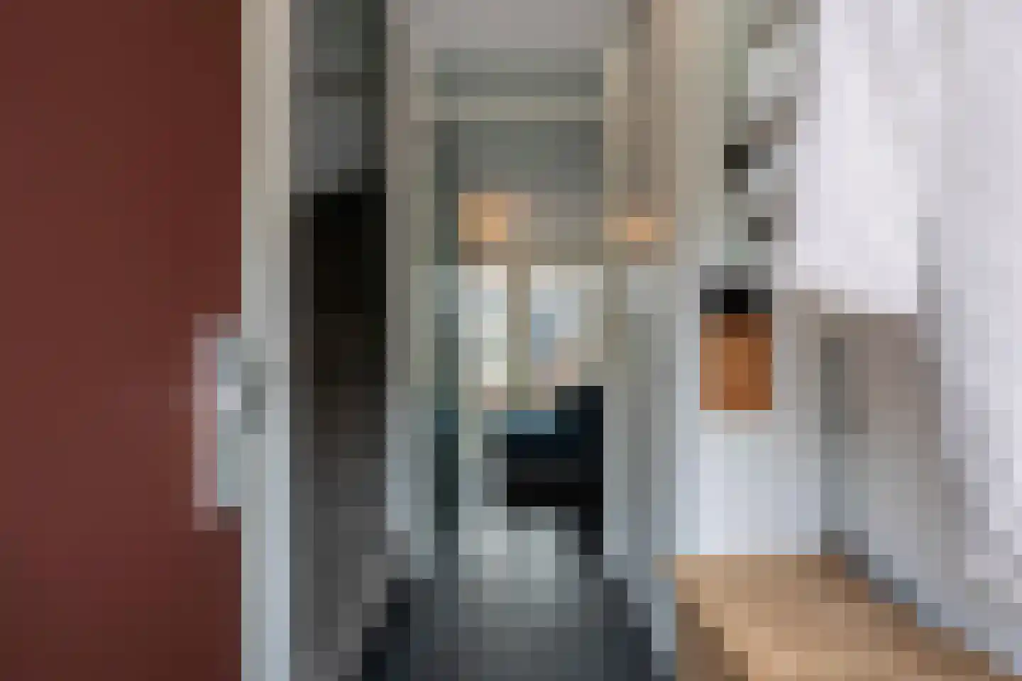 Steenuil 4 Bosschenhoofd thumbnail 6
