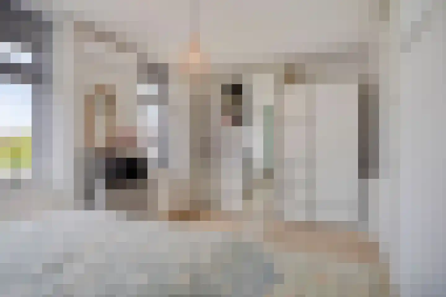 Steenuil 47 Eijsden thumbnail 13