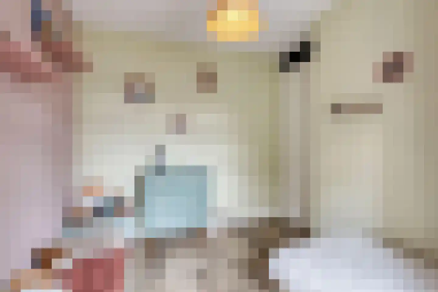Steenuil 47 Eijsden thumbnail 16