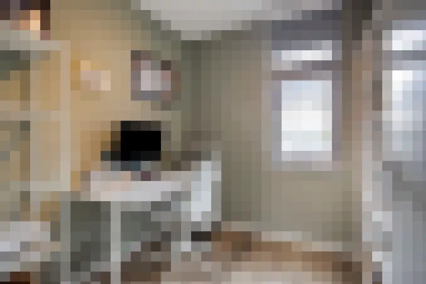 Steenuil 47 Eijsden thumbnail 17
