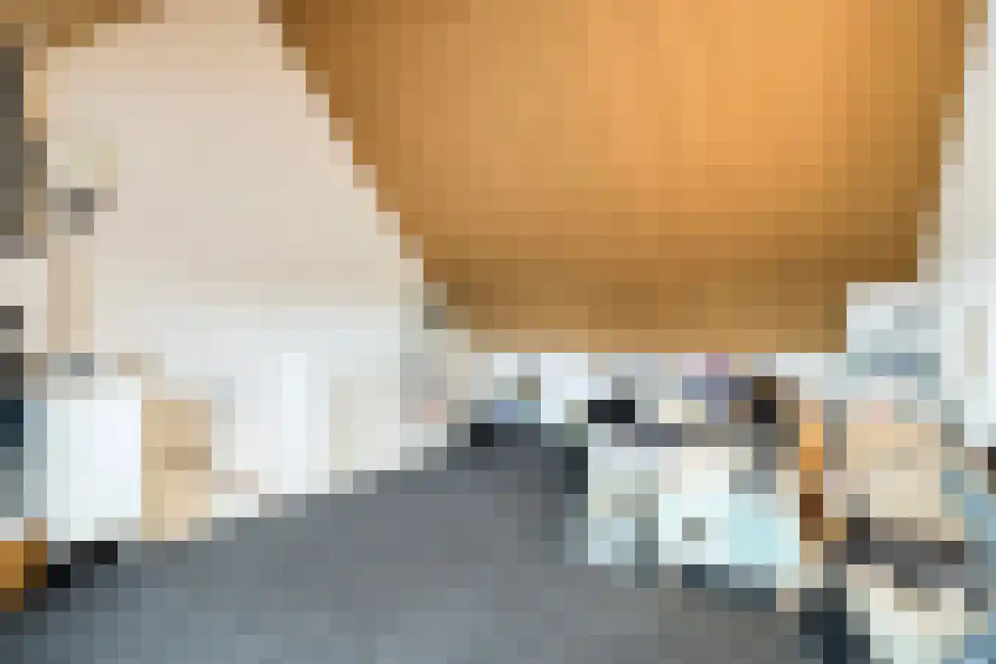 Steenuil 47 Eijsden thumbnail 20