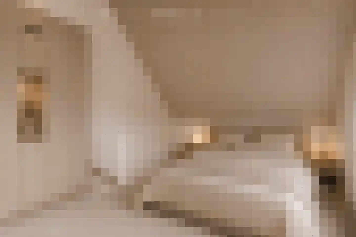 Steenuil 47 Eijsden thumbnail 21