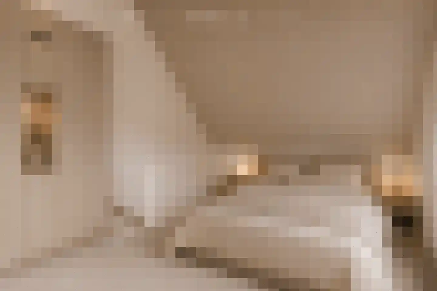 Steenuil 47 Eijsden thumbnail 23