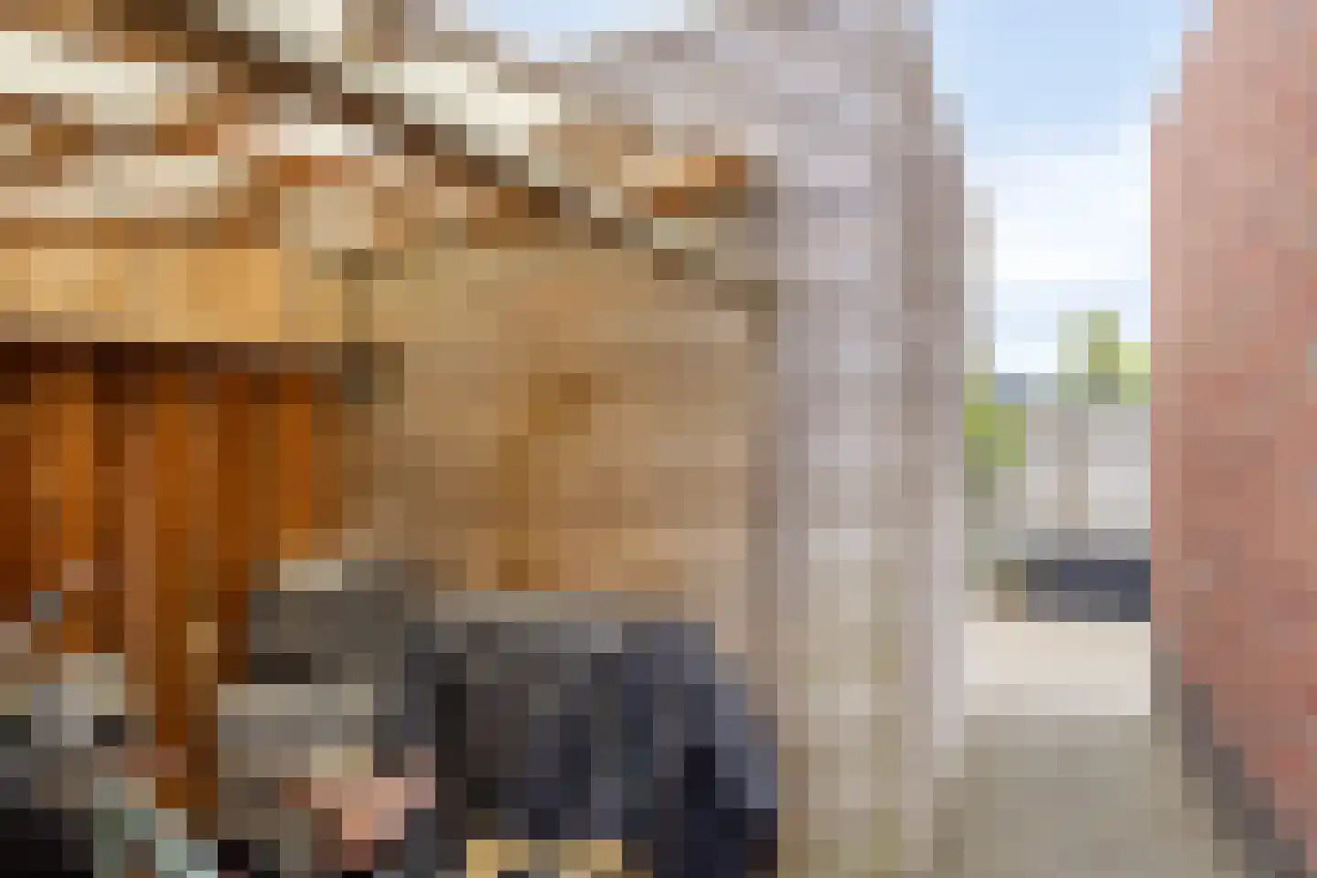 Steenuil 47 Eijsden thumbnail 28