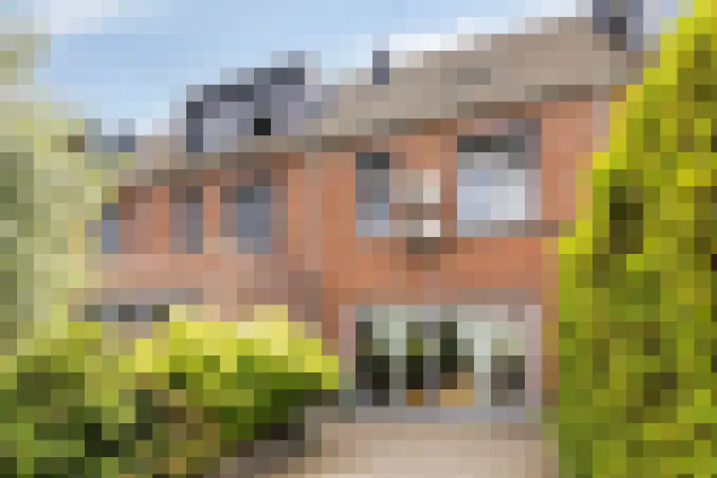 Steenuil 47 Eijsden thumbnail 30