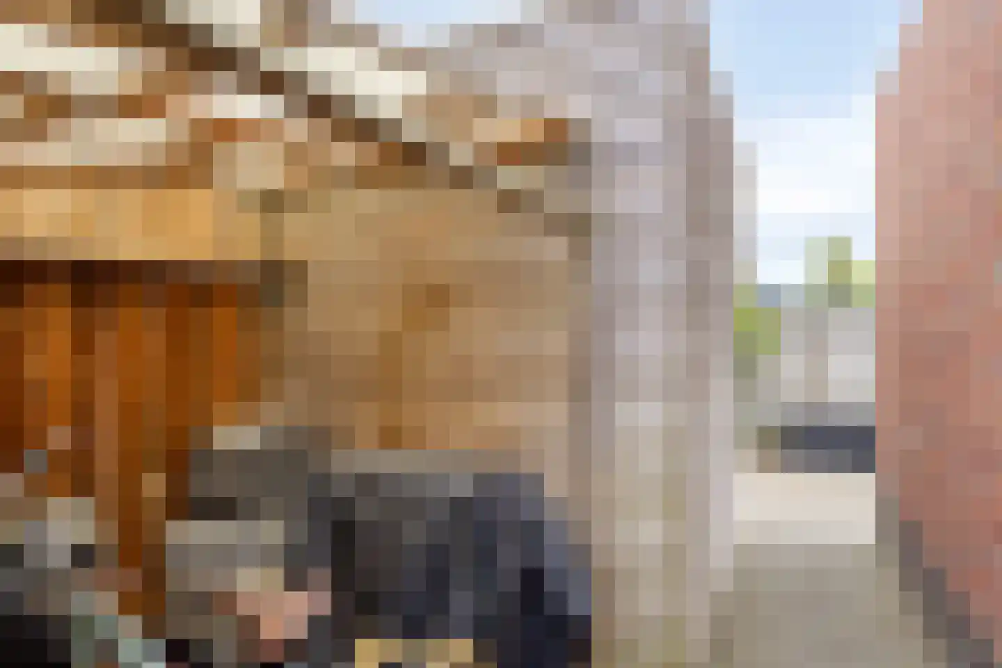 Steenuil 47 Eijsden thumbnail 30