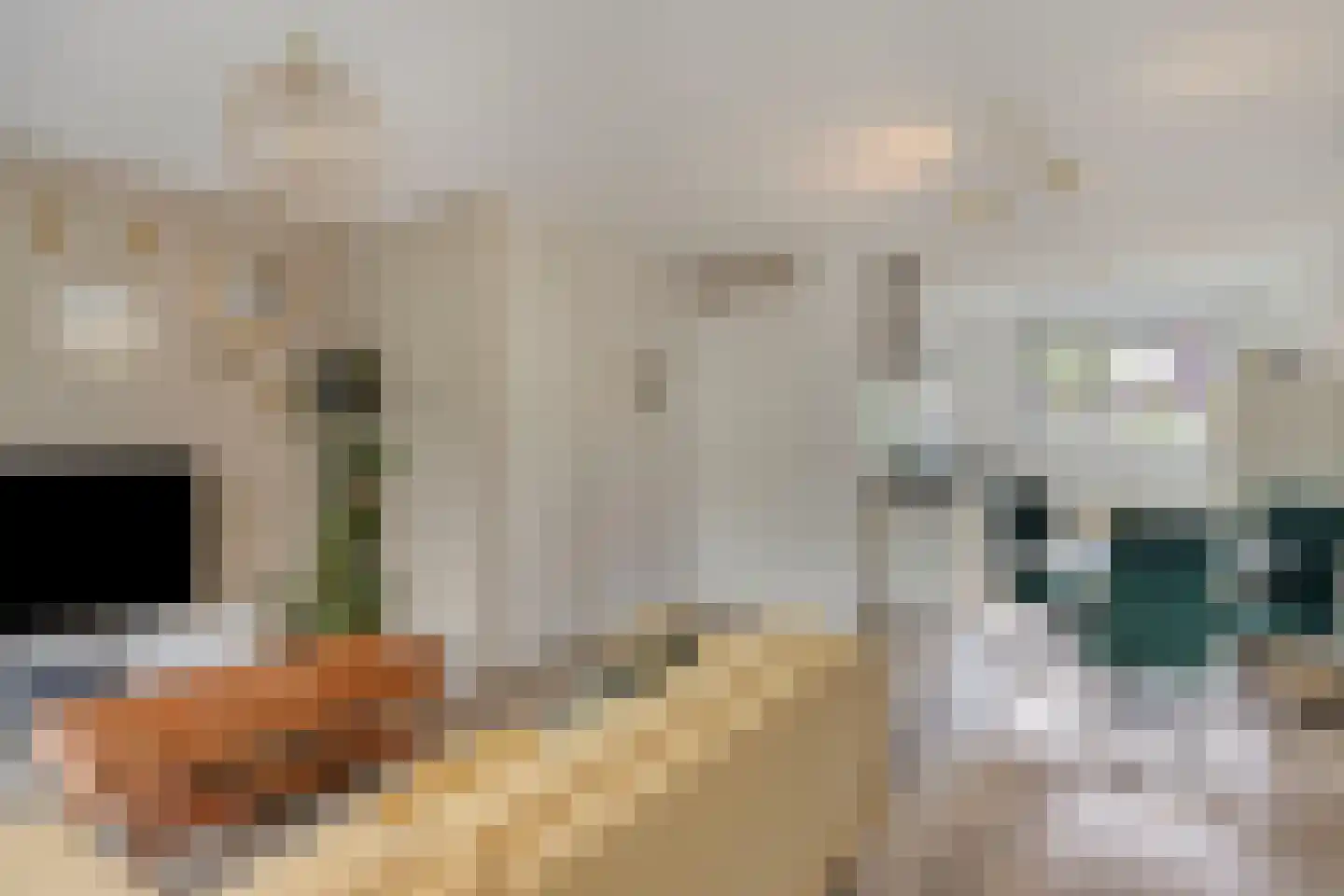 Steenuil 47 Eijsden thumbnail 5