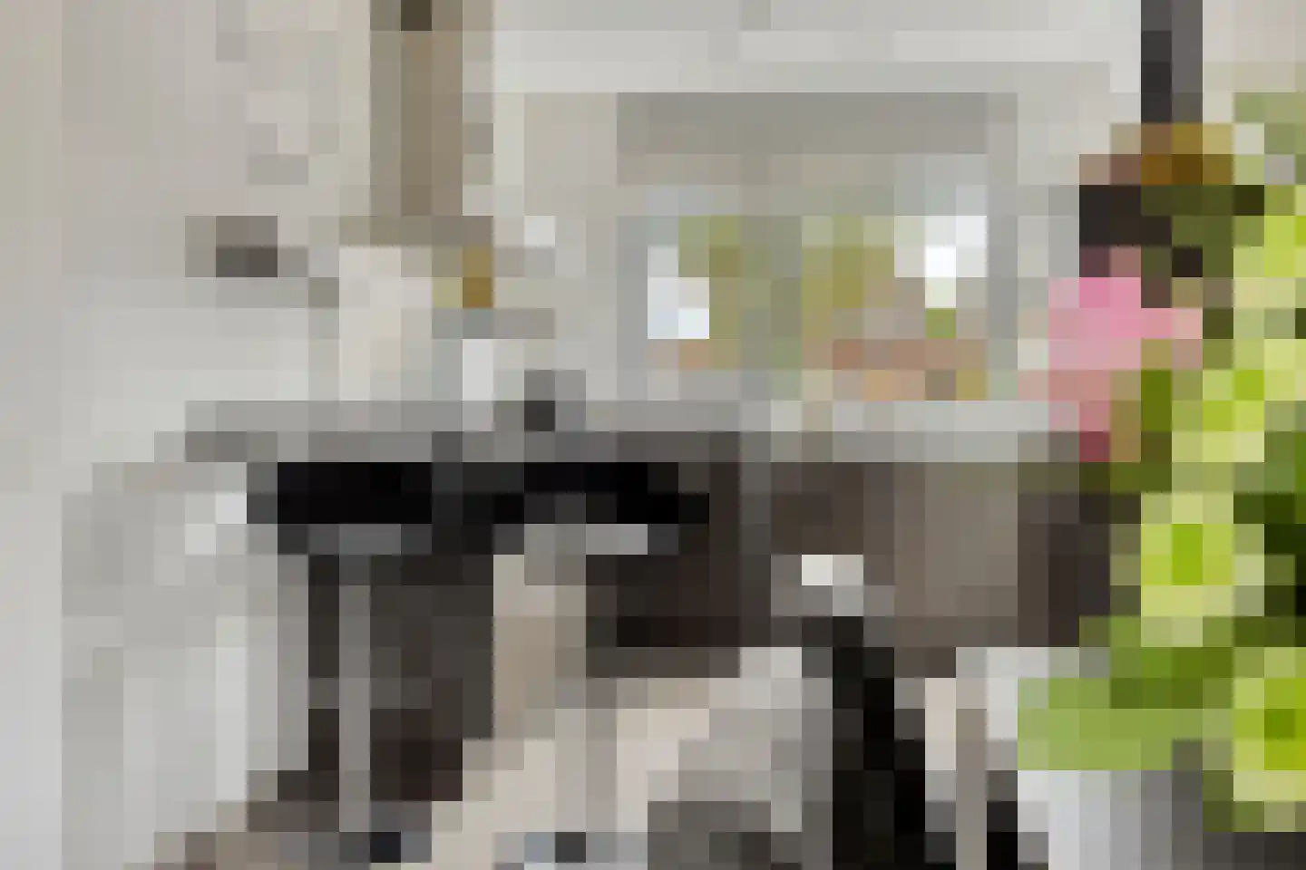 Steenuil 61 Eijsden thumbnail 10