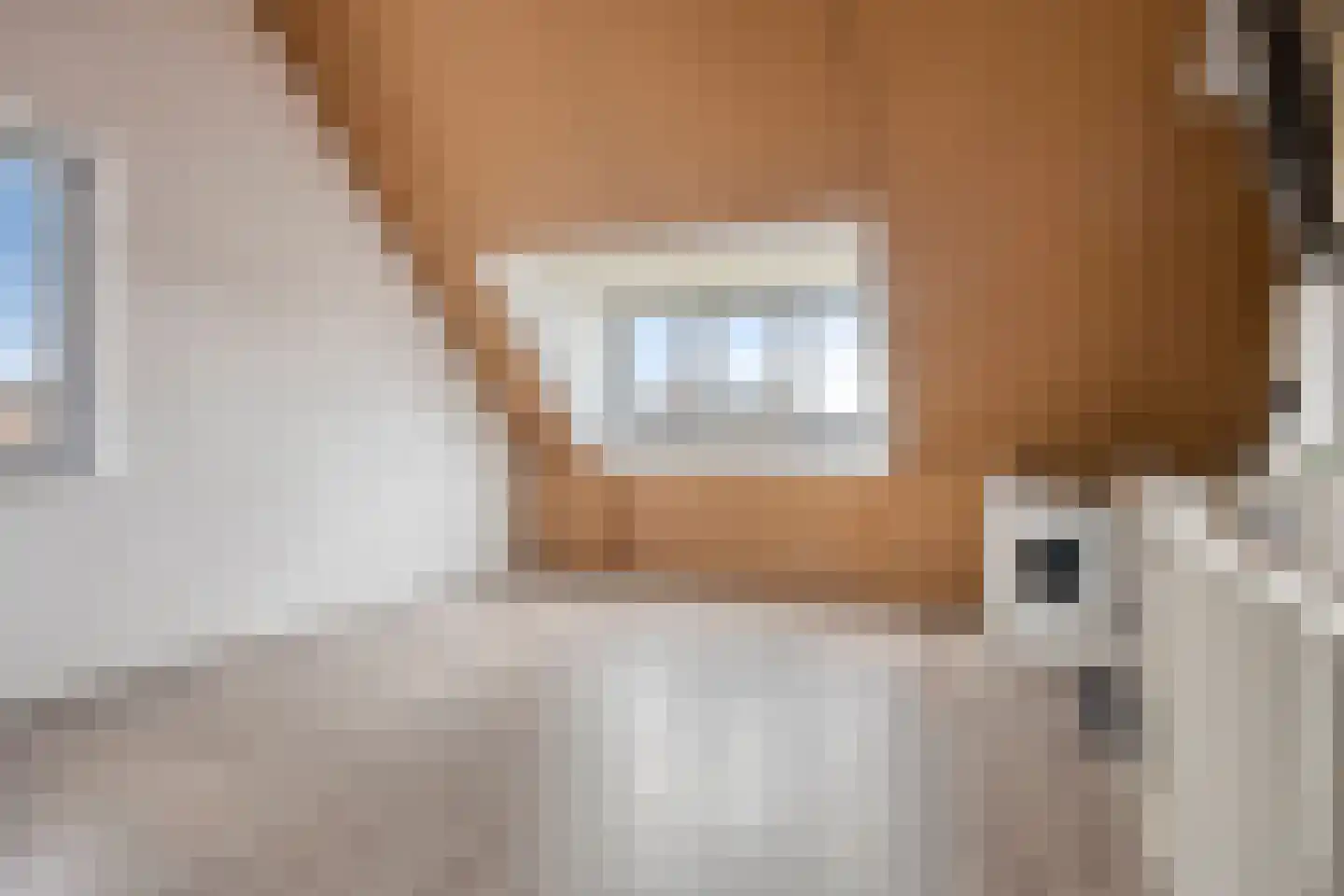 Steenuil 61 Eijsden thumbnail 22