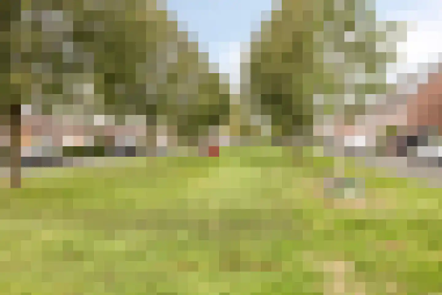 Steenuil 61 Eijsden thumbnail 26