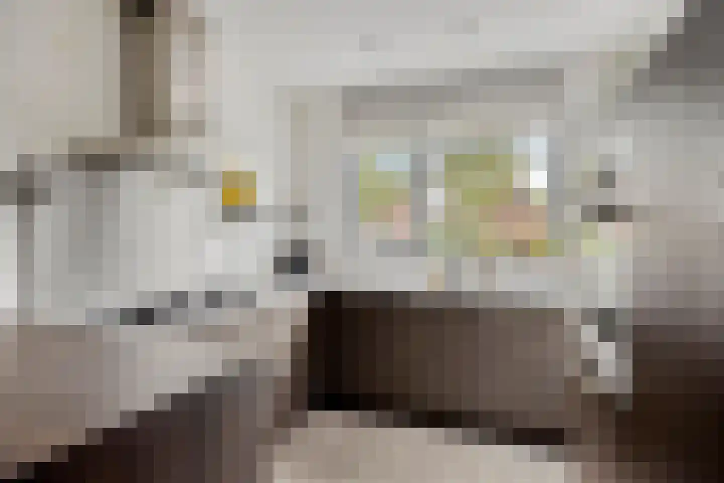 Steenuil 61 Eijsden thumbnail 4