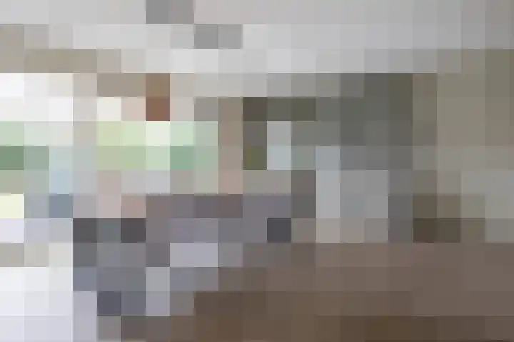 Steenuil 81 Emmen thumbnail 10