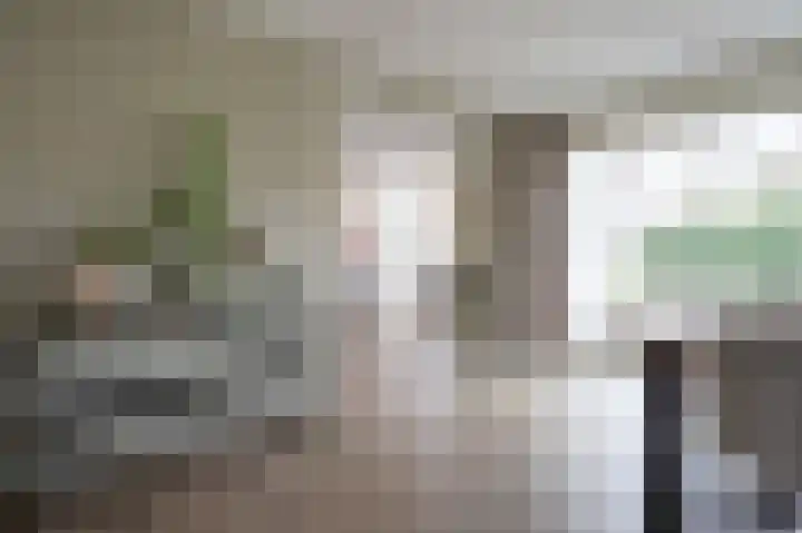 Steenuil 81 Emmen thumbnail 11