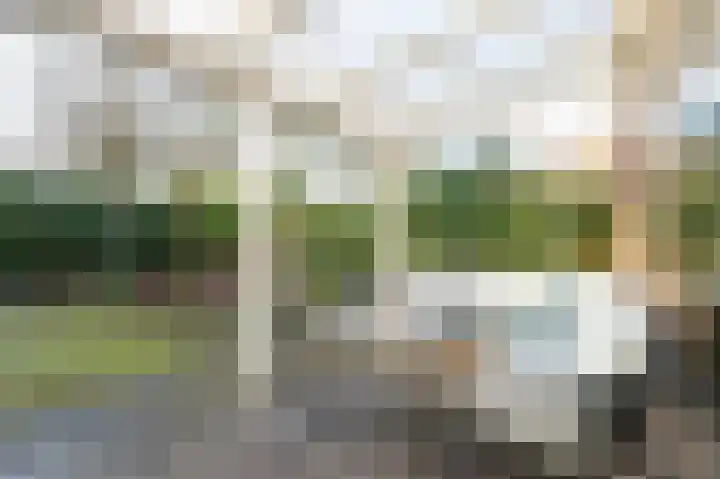 Steenuil 81 Emmen thumbnail 29