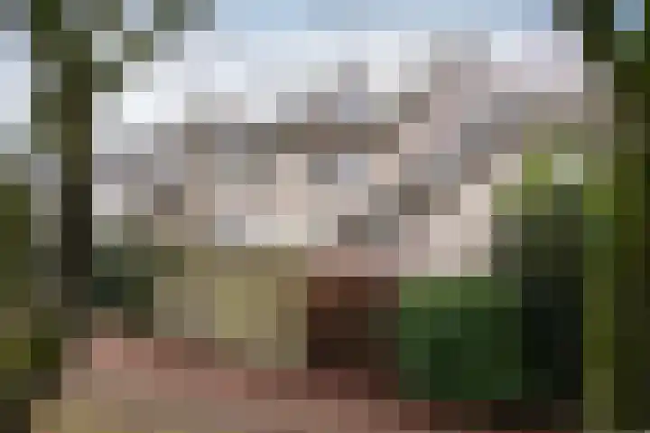 Steenuil 81 Emmen thumbnail 33