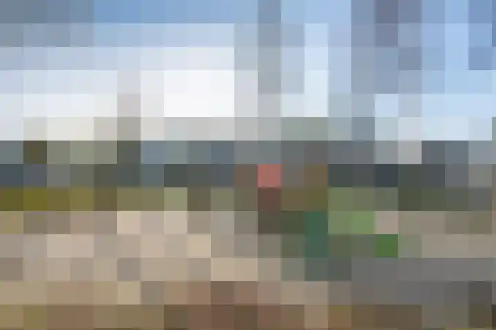 Steenuil 81 Emmen thumbnail 36