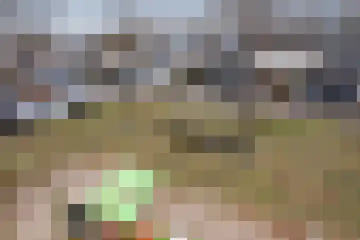 Steenuil 81 Emmen thumbnail 37