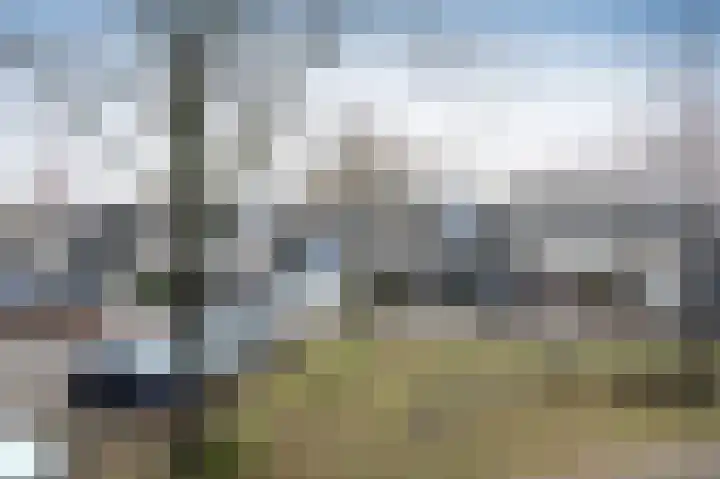 Steenuil 81 Emmen thumbnail 38