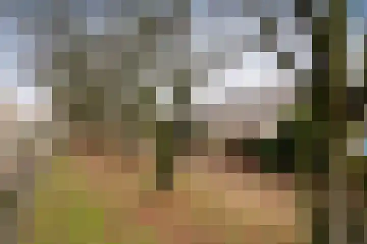 Steenuil 81 Emmen thumbnail 39