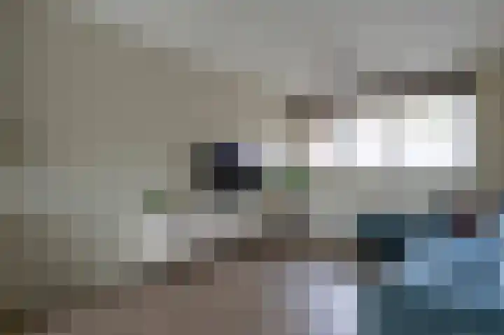 Steenuil 81 Emmen thumbnail 5