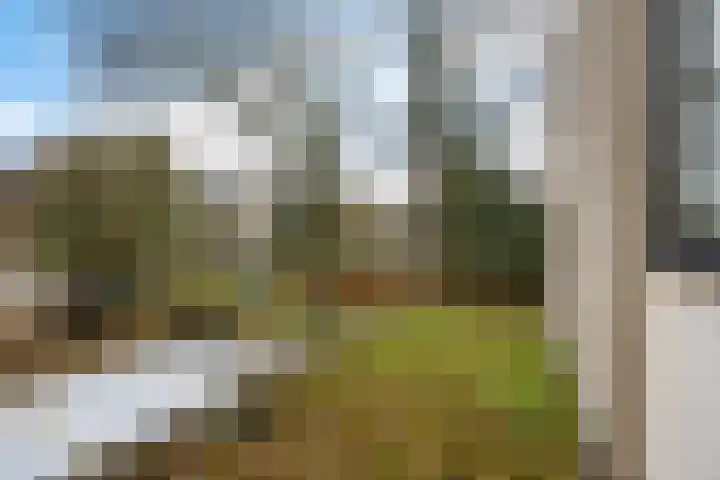 Steenuil 94 Emmen thumbnail 31