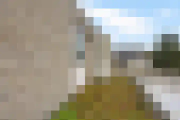 Steenuil 94 Emmen thumbnail 32