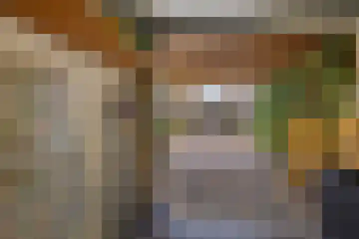 Steenuil 94 Emmen thumbnail 34