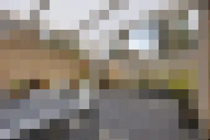 Steenuil 94 Emmen thumbnail 36