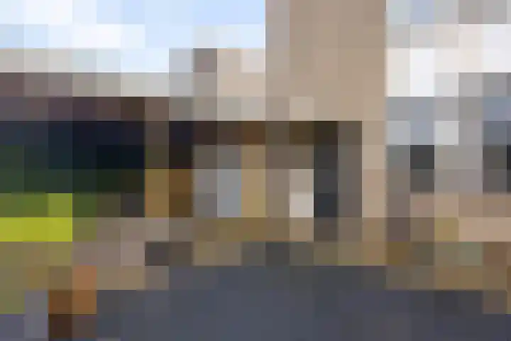 Steenuil 94 Emmen thumbnail 4