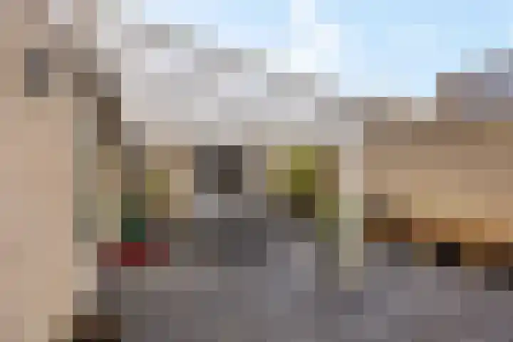 Steenuil 94 Emmen thumbnail 40