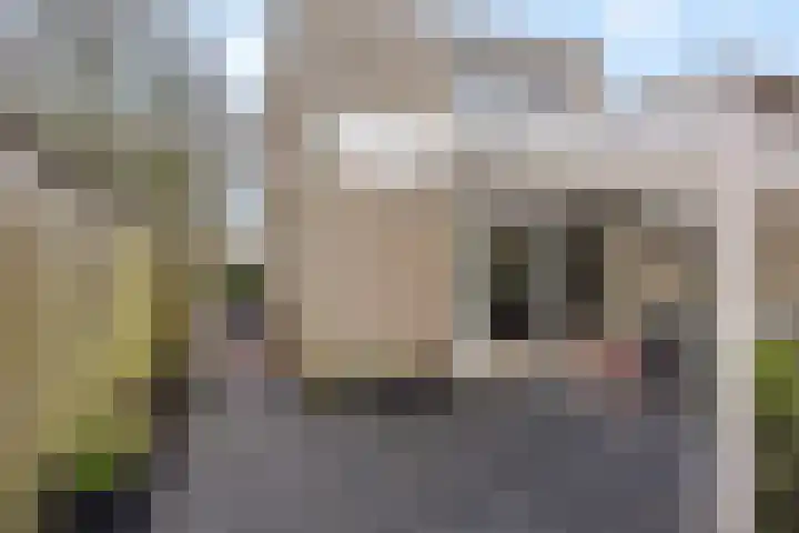 Steenuil 94 Emmen thumbnail 41