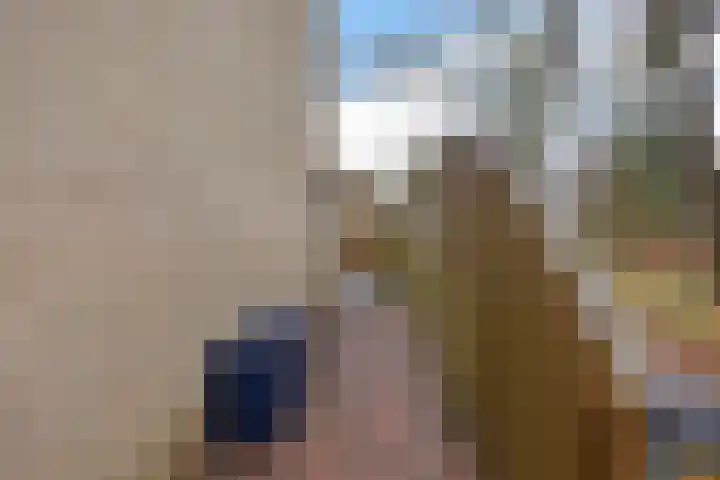 Steenuil 94 Emmen thumbnail 42