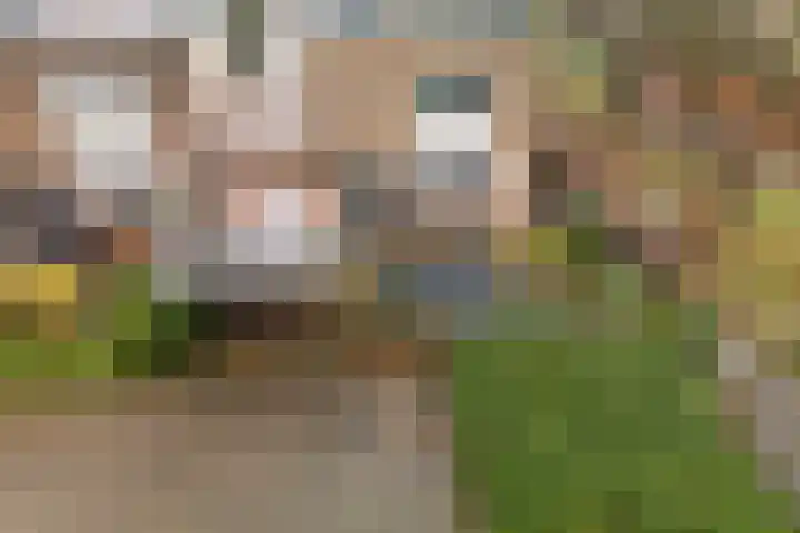 Steenuil 94 Emmen thumbnail 45