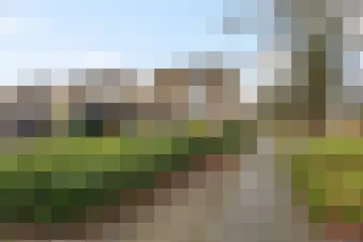 Steenuil 94 Emmen thumbnail 46