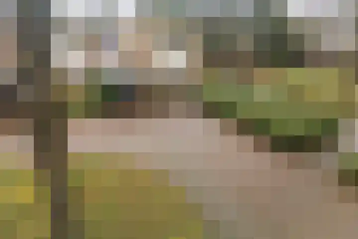 Steenuil 94 Emmen thumbnail 48