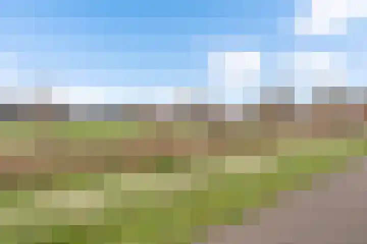 Steenuildreef 7 Sterksel thumbnail 10