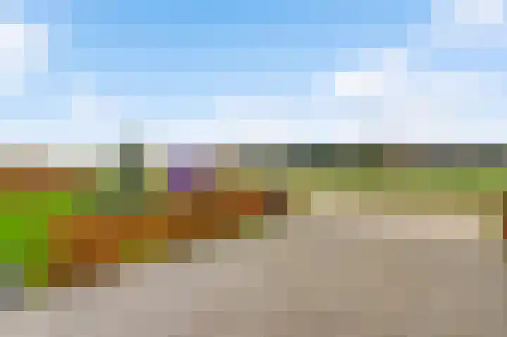 Steenuildreef 7 Sterksel thumbnail 11