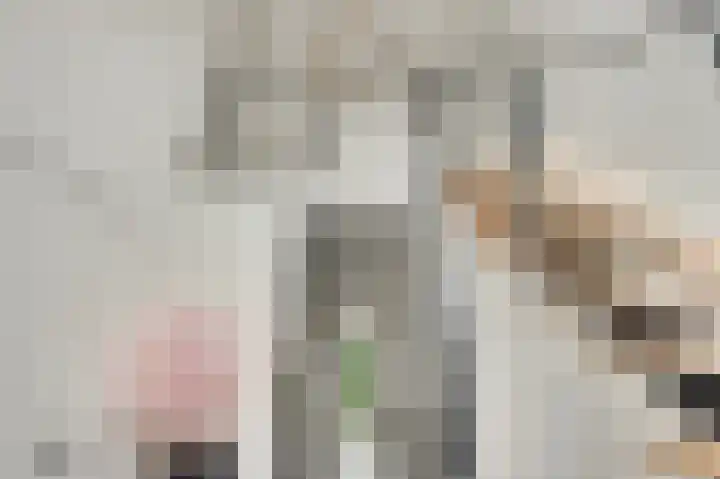 Steenuildreef 7 Sterksel thumbnail 13
