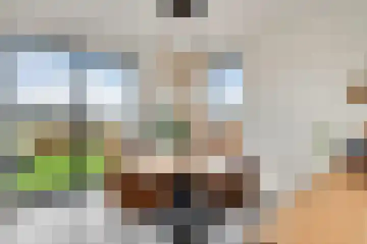 Steenuildreef 7 Sterksel thumbnail 16