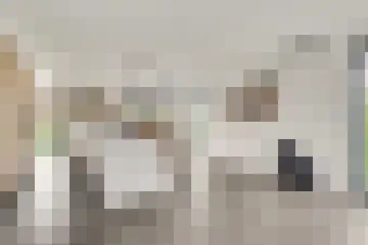 Steenuildreef 7 Sterksel thumbnail 19
