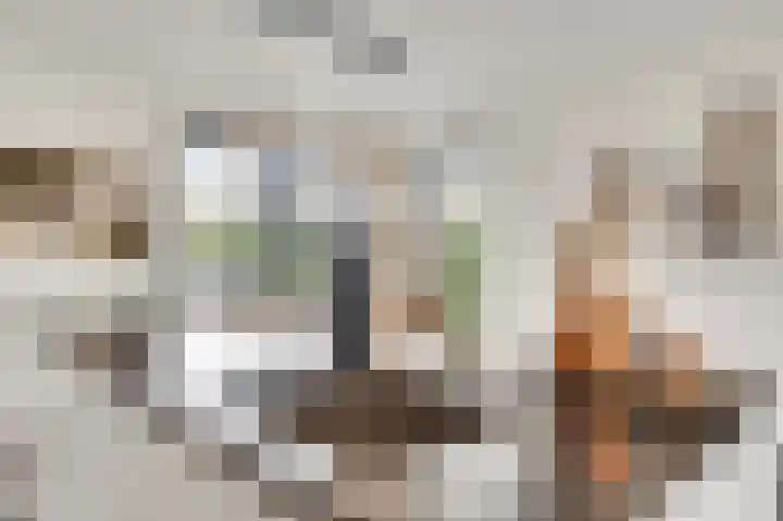 Steenuildreef 7 Sterksel thumbnail 20